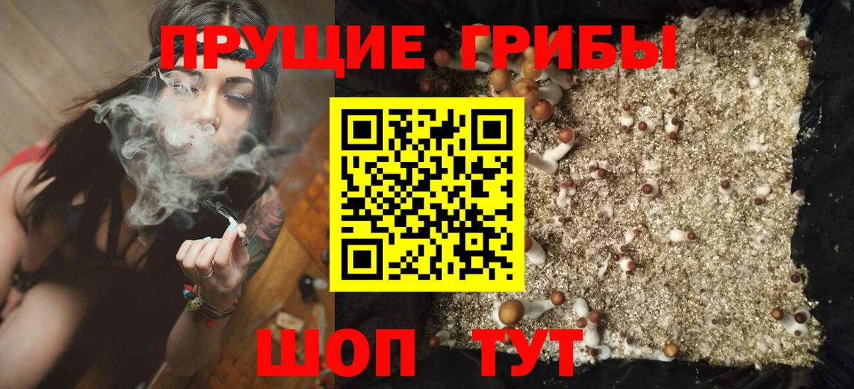 Галлюциногенные грибы мухоморы Асино