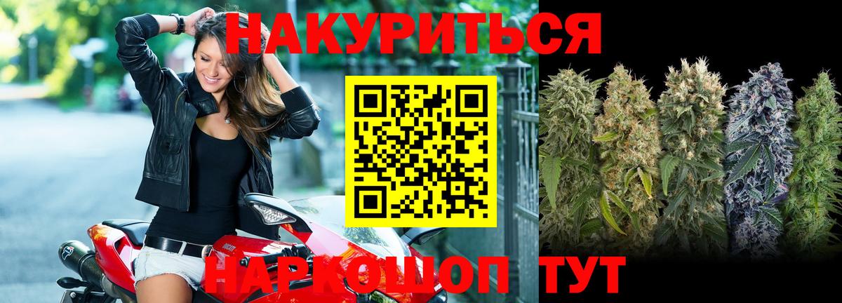 Конопля сатива  МАРИХУАНА конопля  Каннабис индика  Асино  Вход с VPN 